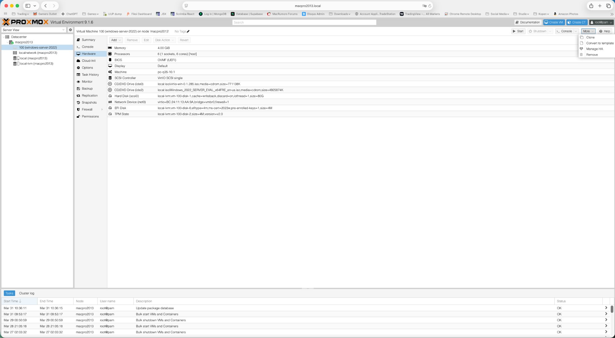 Proxmox Hardware tab for VM 100